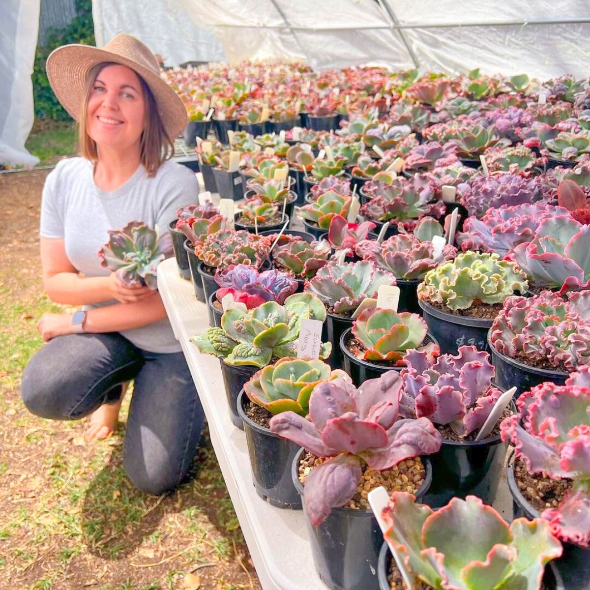 Woman with succulents in greenhouse