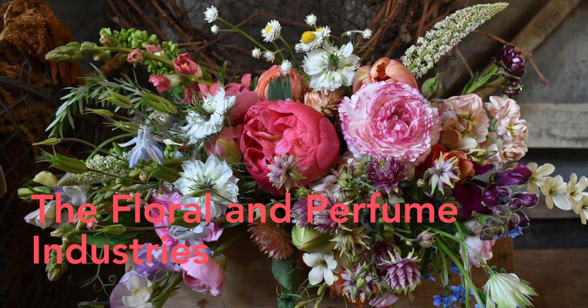 Floral and perfume