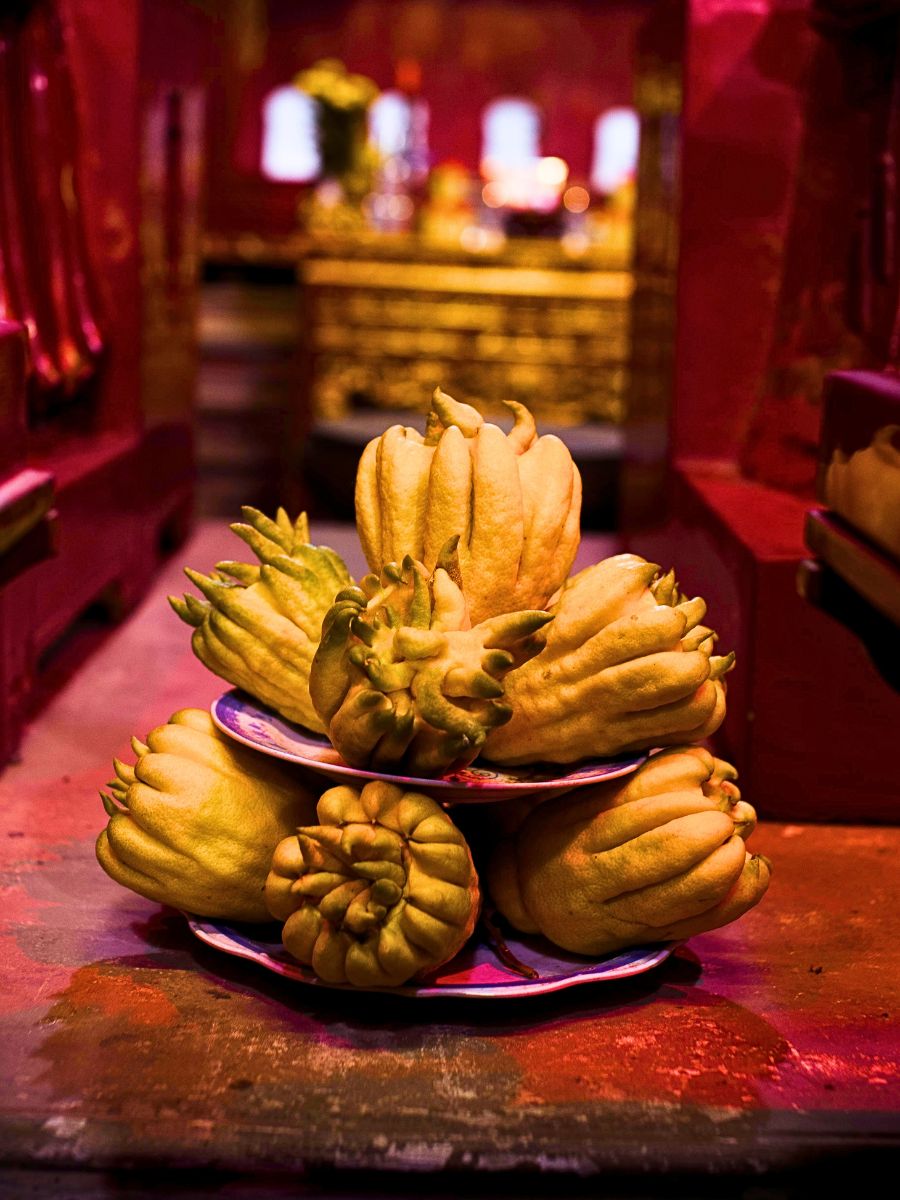 Stacked Buddha’s hand fruits in a dimly lit temple.