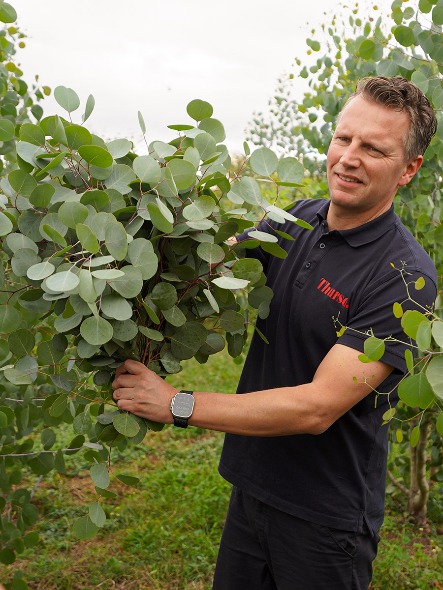 TAK Peter van Delft with Eucalyptus Silver Dollar