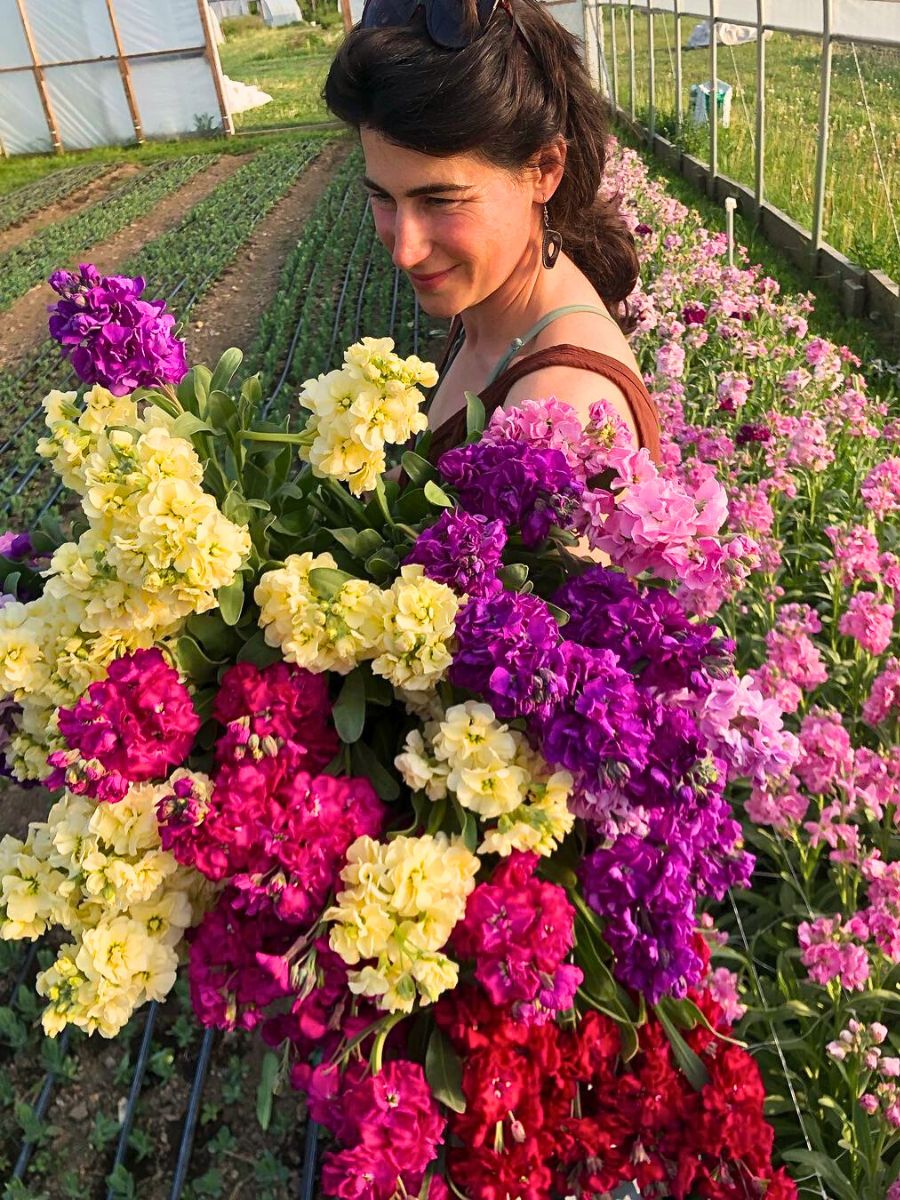 Locally Sourcing Flowers Is Ideal, but a Balanced Approach Is More Feasible