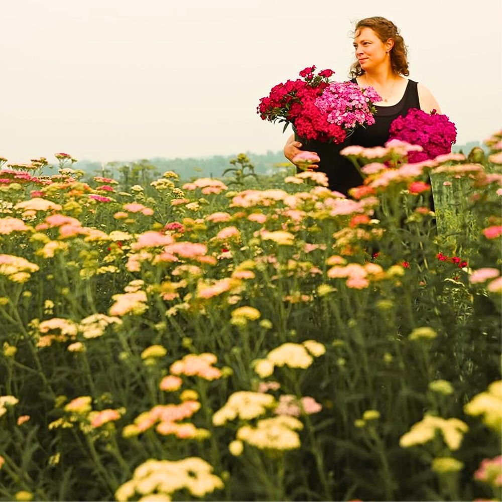 Locally Sourcing Flowers Is Ideal, but a Balanced Approach Is More Feasible