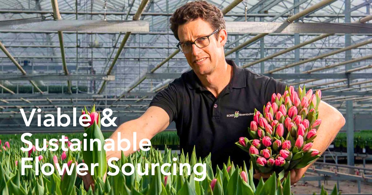 Locally Sourcing Flowers Is Ideal, but a Balanced Approached to Flower Sourcing Is Even More Viable.