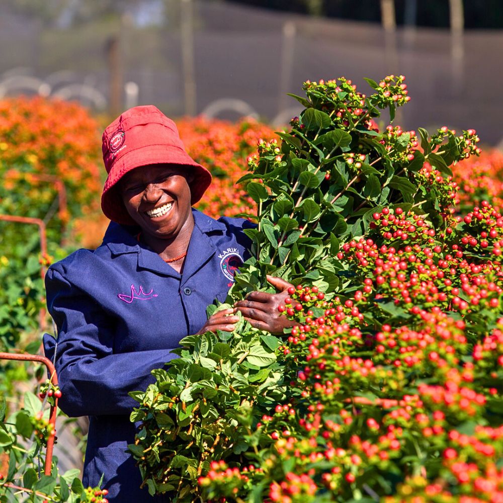 Locally Sourcing Flowers Is Ideal, but a Balanced Approached to Flower Sourcing Is Even More Viable.