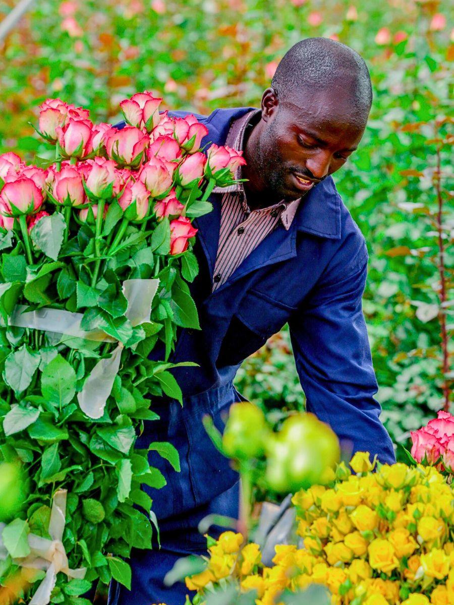 Locally Sourcing Flowers Is Ideal, but a Balanced Approached to Flower Sourcing Is Even More Viable.