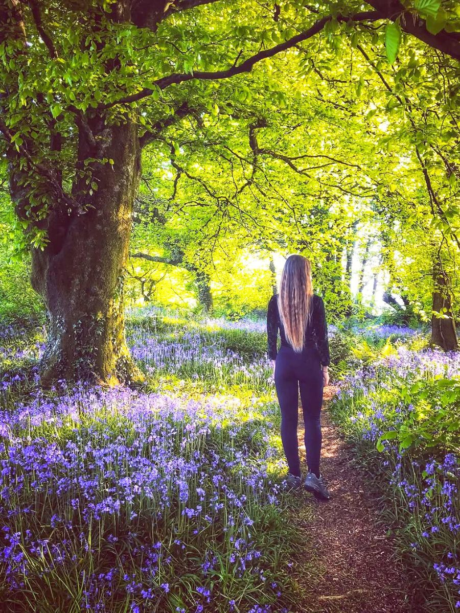 Bluebell flowerWoman walking through a dreamy forest path.