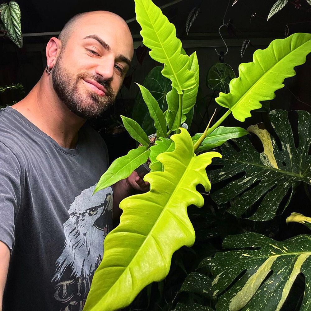 A man smiles while holding a large, bright green plant.