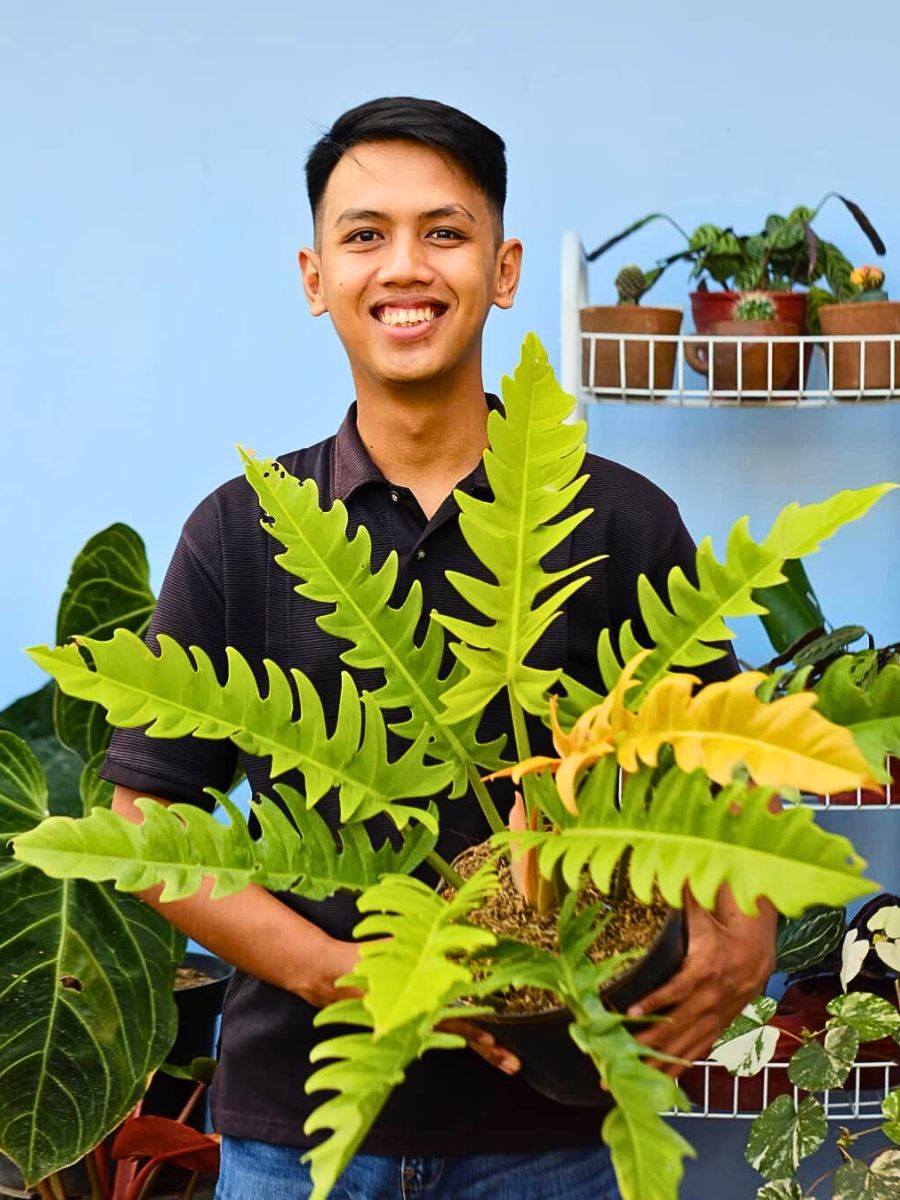 A smiling man holds a large green plant against a blue wall.