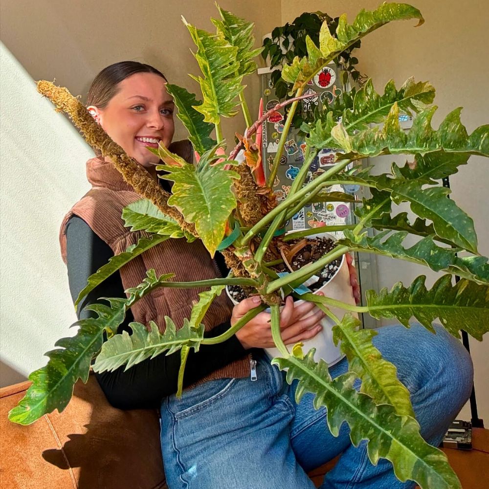 A woman with long hair smiles as she holds a large, lush plant with broad, jagged leaves. She is wearing a brown vest and sitting on a brown couch, with decorative stickers visible on a nearby wall.