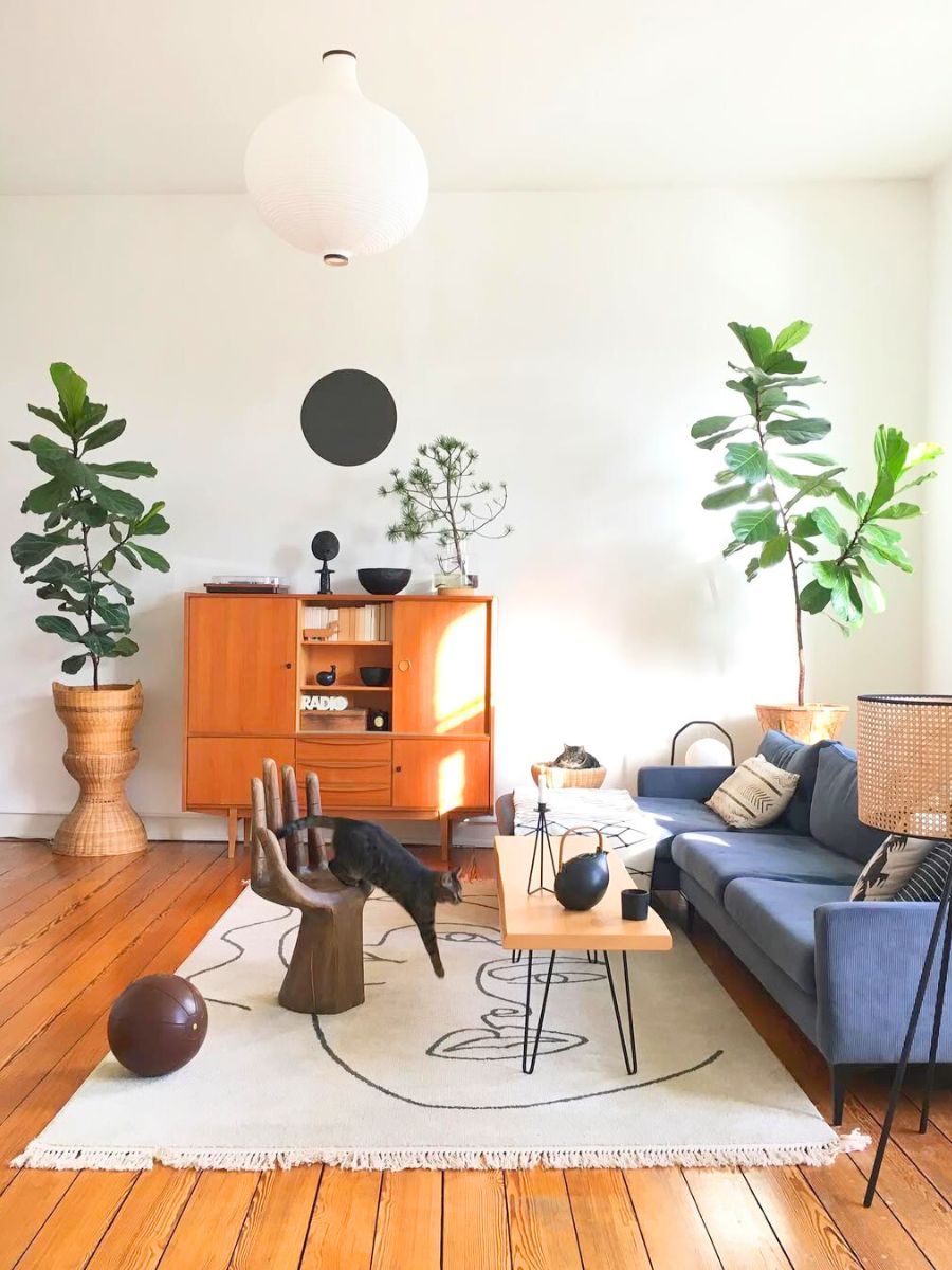 Fiddle leaf fig in Japandi interior