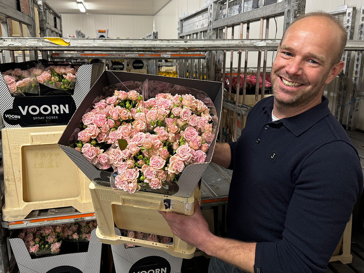 Frank Voorn light pink spray roses in warehouse