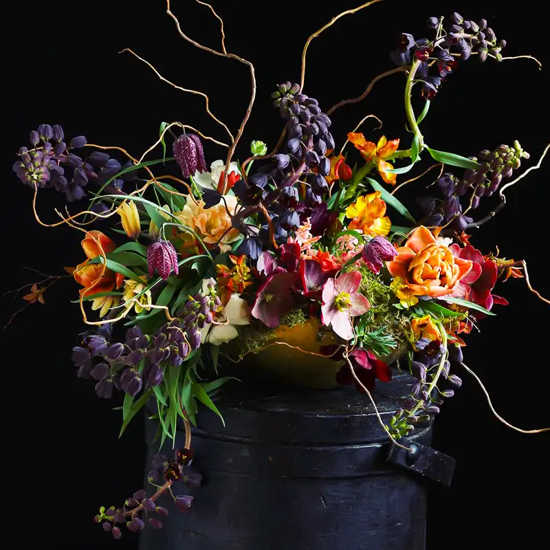 Fritillaria Persica in floral arrangement