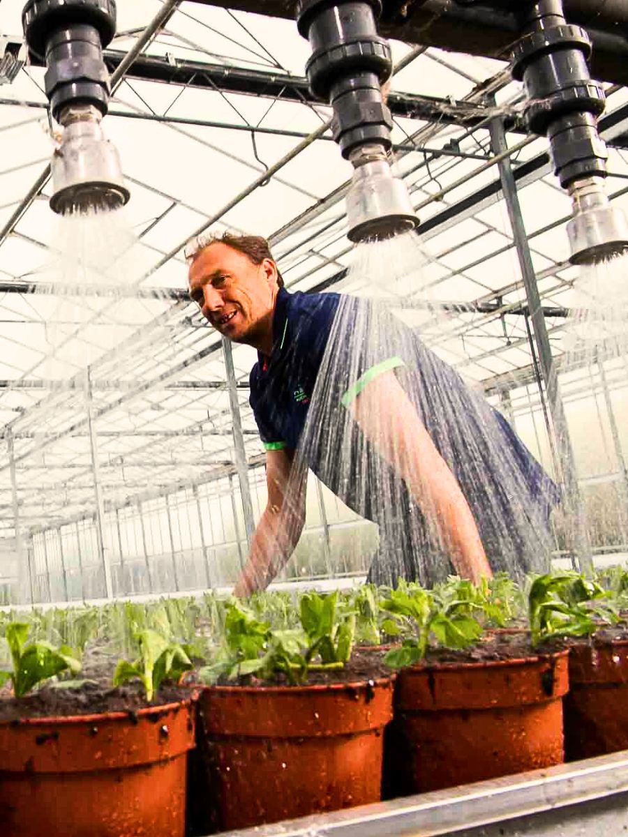 Sustainable Water Use in the Floriculture Industry