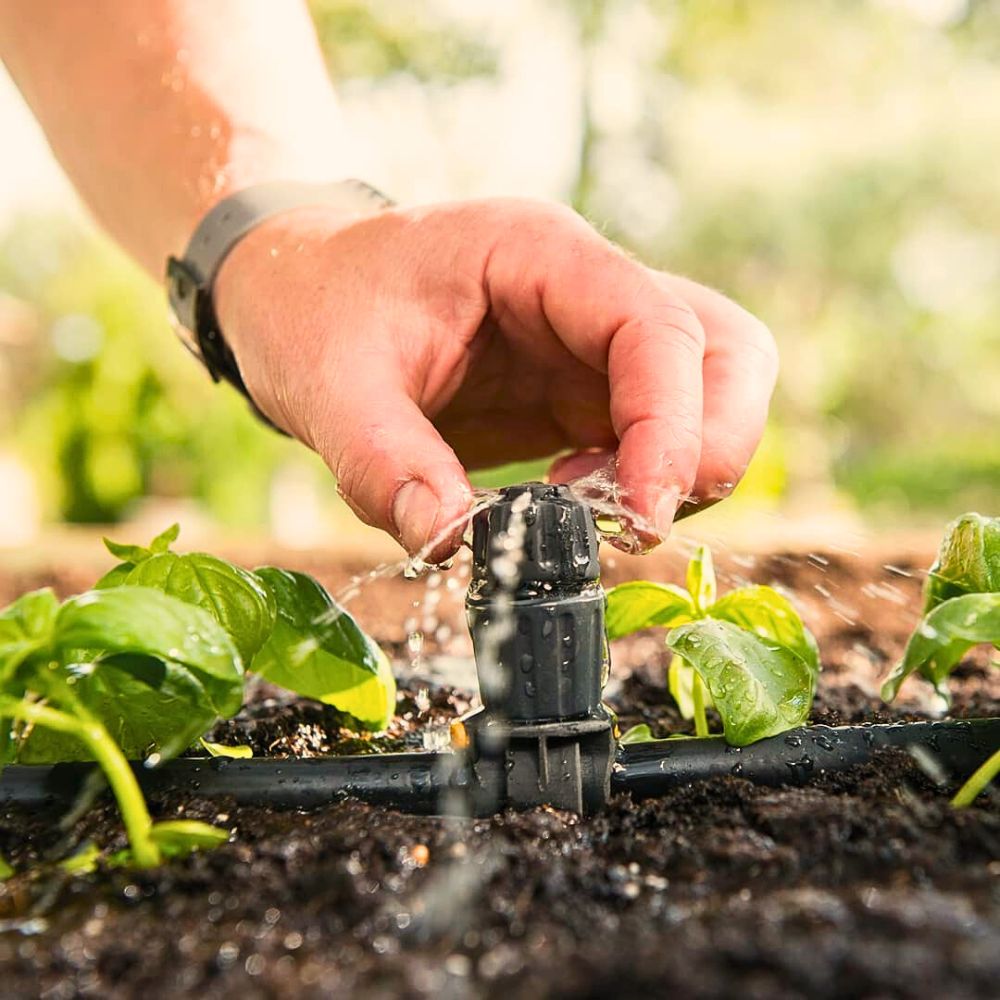 Sustainable Water Use in the Floriculture Industry