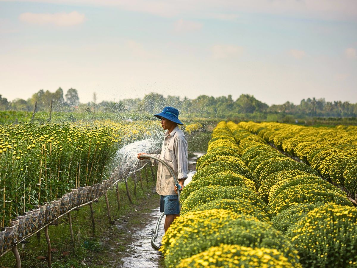 Sustainable Water Use in the Floriculture Industry