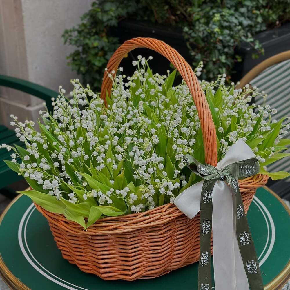 Lily of the Valley Basket Arrangement A beautifully arranged wicker basket filled with fresh Lily of the Valley flowers, featuring delicate white blooms and lush green leaves.