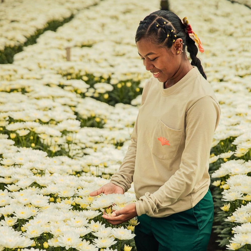 Sustainable Water Use in the Floriculture Industry