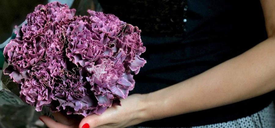 Enhanced Carnations - Alina Neacsa - on Thursd