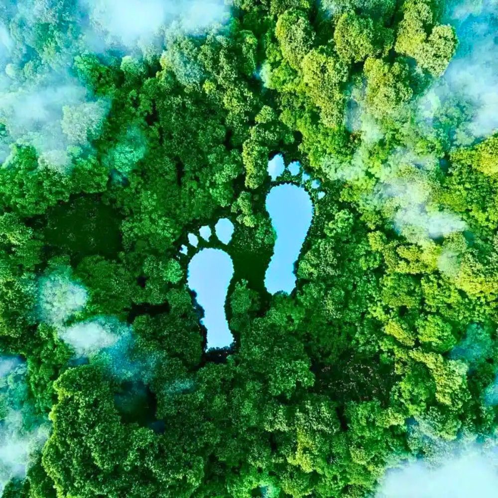 Organized by Greenhouse Sustainability, the Inaugural Tuinbouw Footprint Event 2025 (Horticultural Footprint Event) Is Coming Up, Pioneering Footprinting in Floriculture