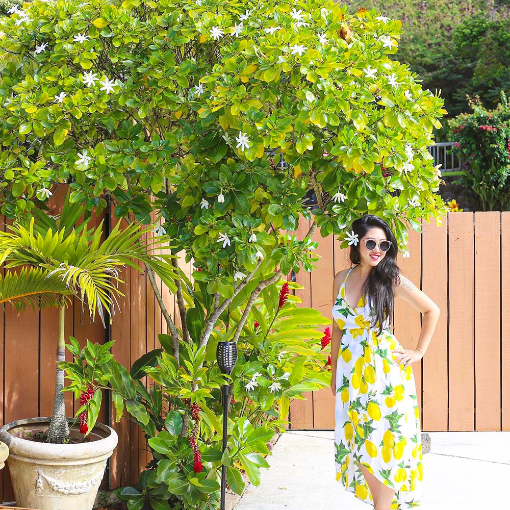 Woman posing at Gardenia taitensis tree