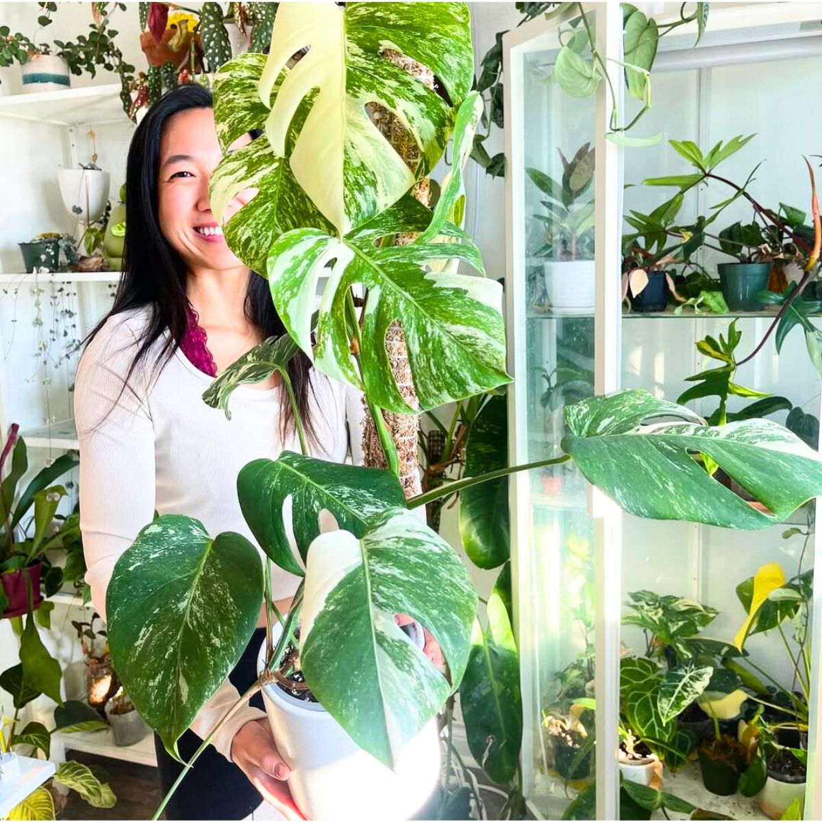 Woman with Monstera Albo