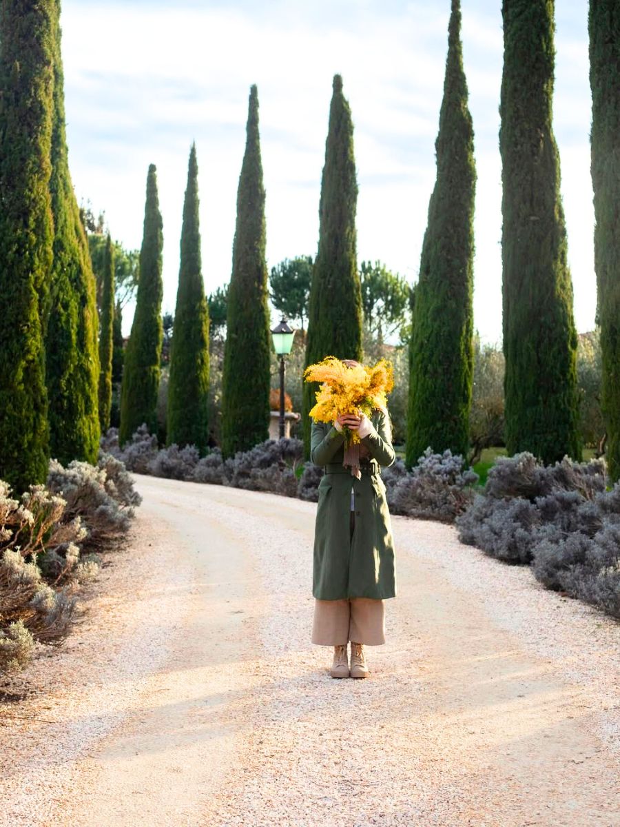 Mimosa bouquet in Italian landscape