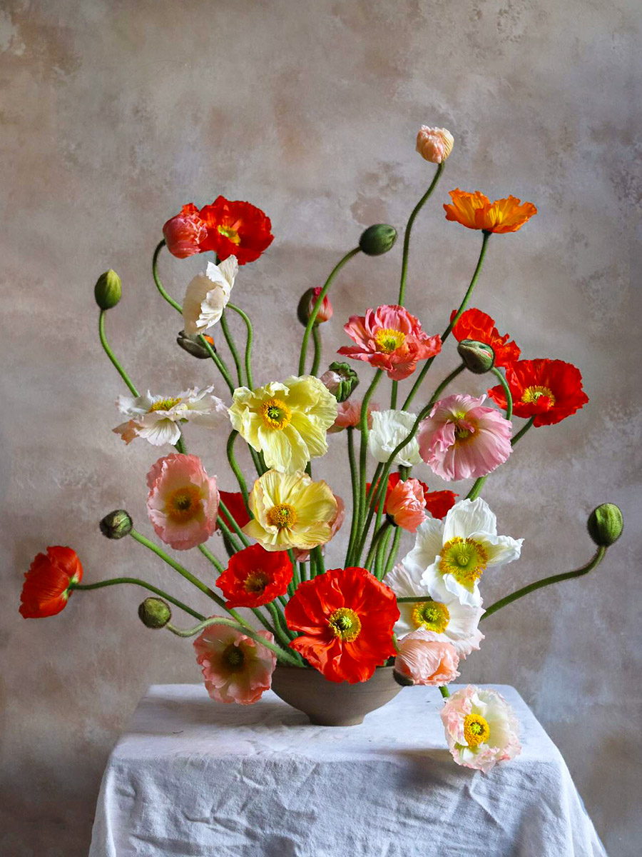 Colorful poppy arrangement