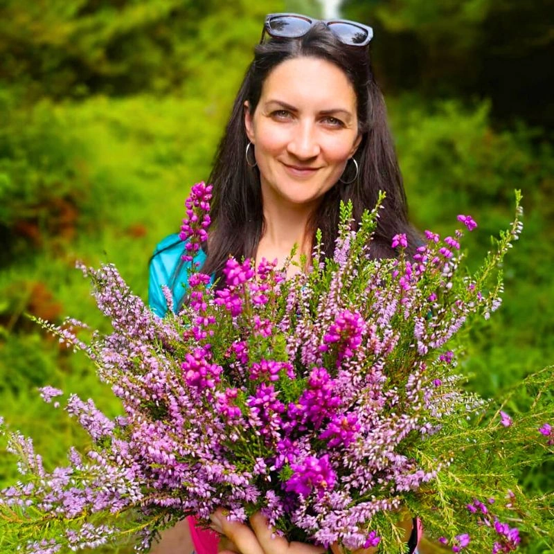 Heather flowers meaning - Thursd Article Featured Image