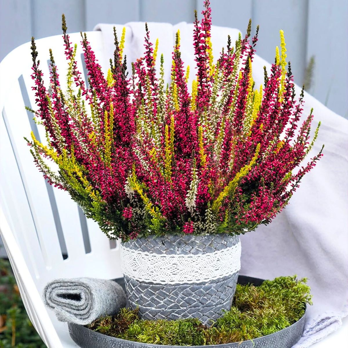 Yellow pink and white flowers