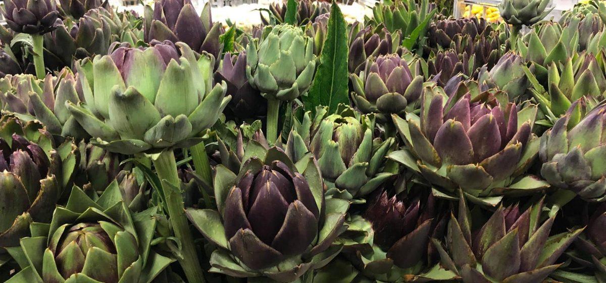 Cynara - Artichoke - Cut Flowers - on Thursd for Peter's weekly Menu