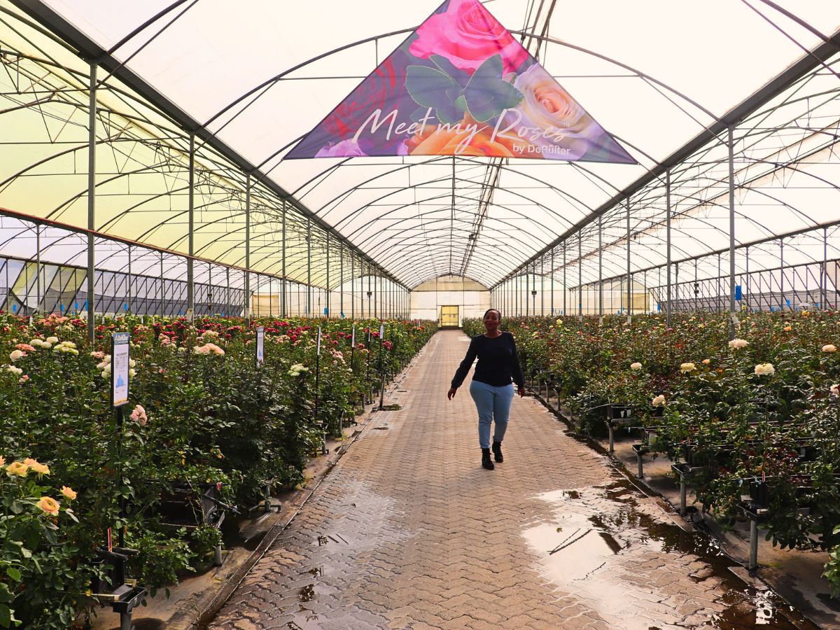 De Ruiter East Africa Open Days Showcased the Breeder’s Vast Array of Roses