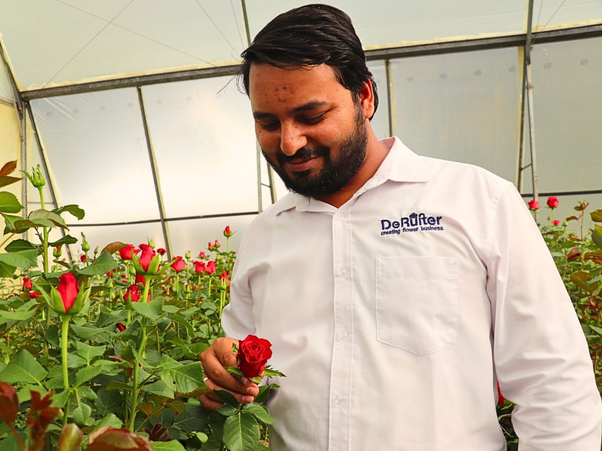 Inside one of De Ruiter East Africa's rose greenhouses during the breeder's Open Days.