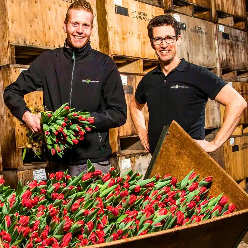 Sustainable and Eco-Friendly Packaging in the Floriculture Industry