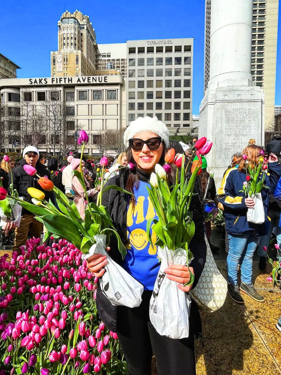 Tulips to celebrate IWD