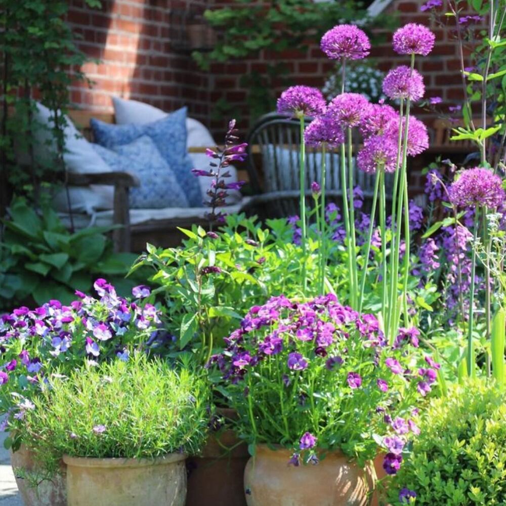 Blue garden with blue flower