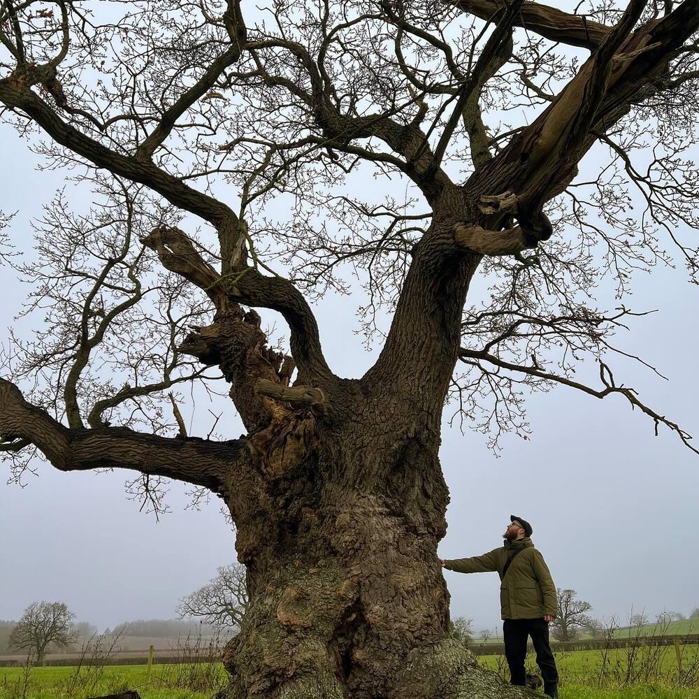 men standing near to the oak tree