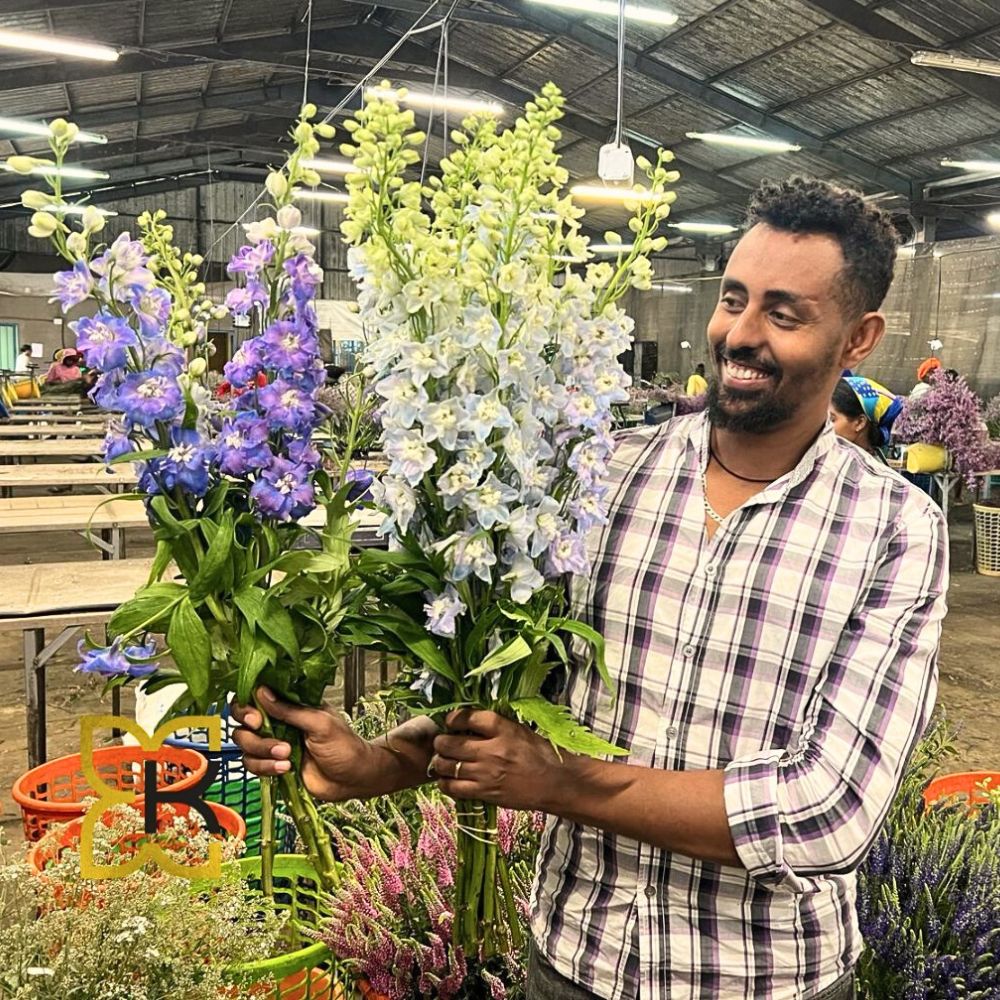 Ethiopia’s HortiFlora Expo 2025 Is Coming Up