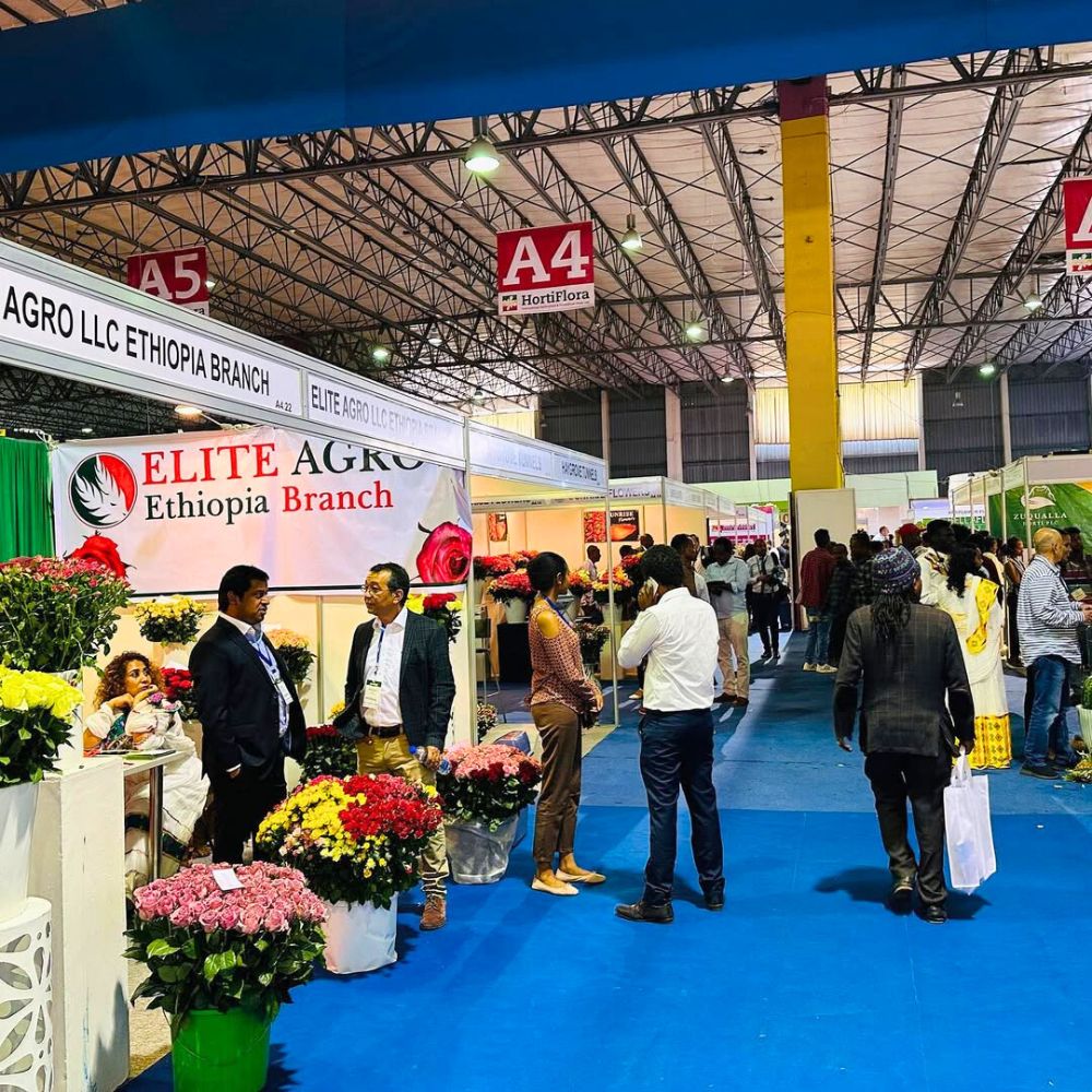 Why You Should Plan to Attend Ethiopia’s HortiFlora Expo 2025