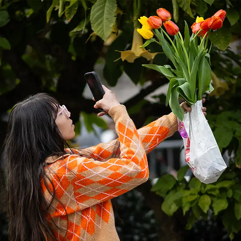 American Tulip Day