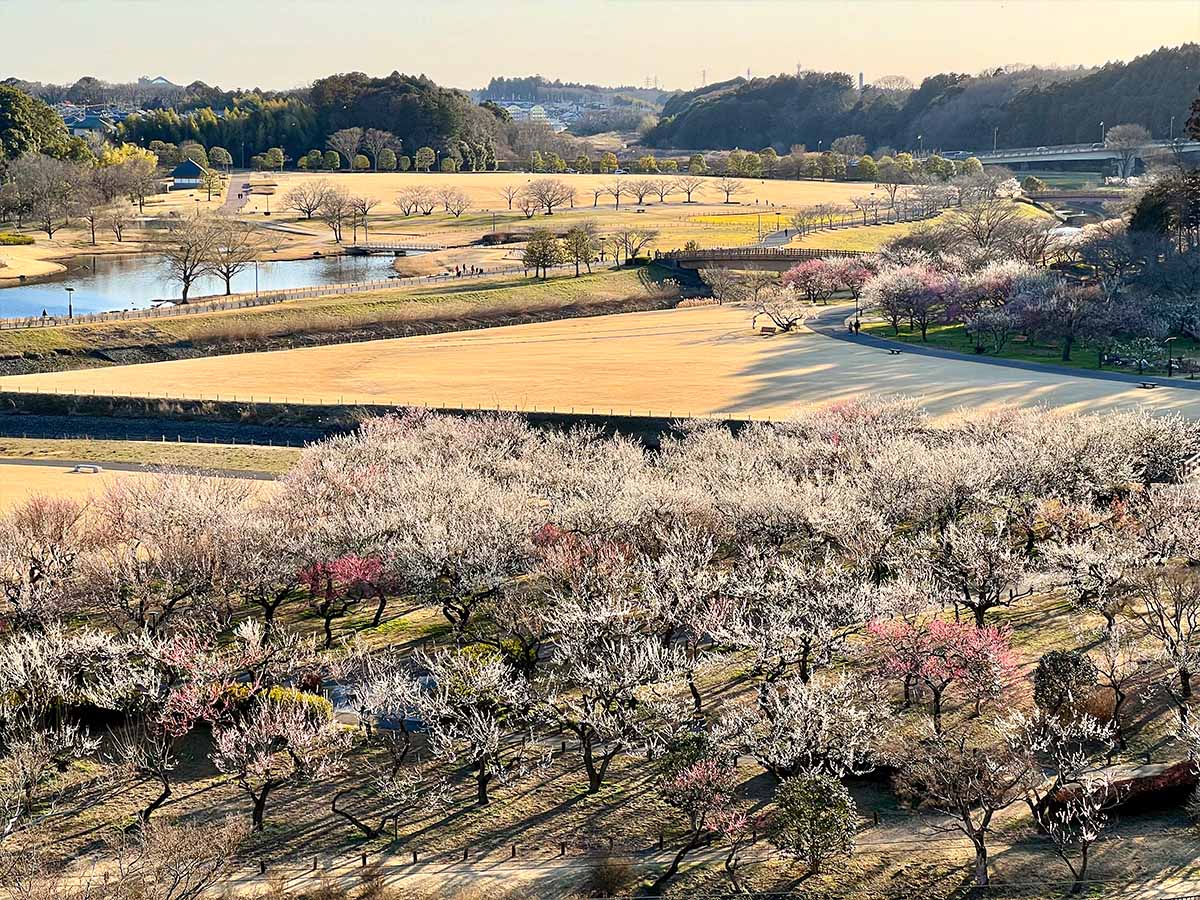 Kairakuen Garden overview