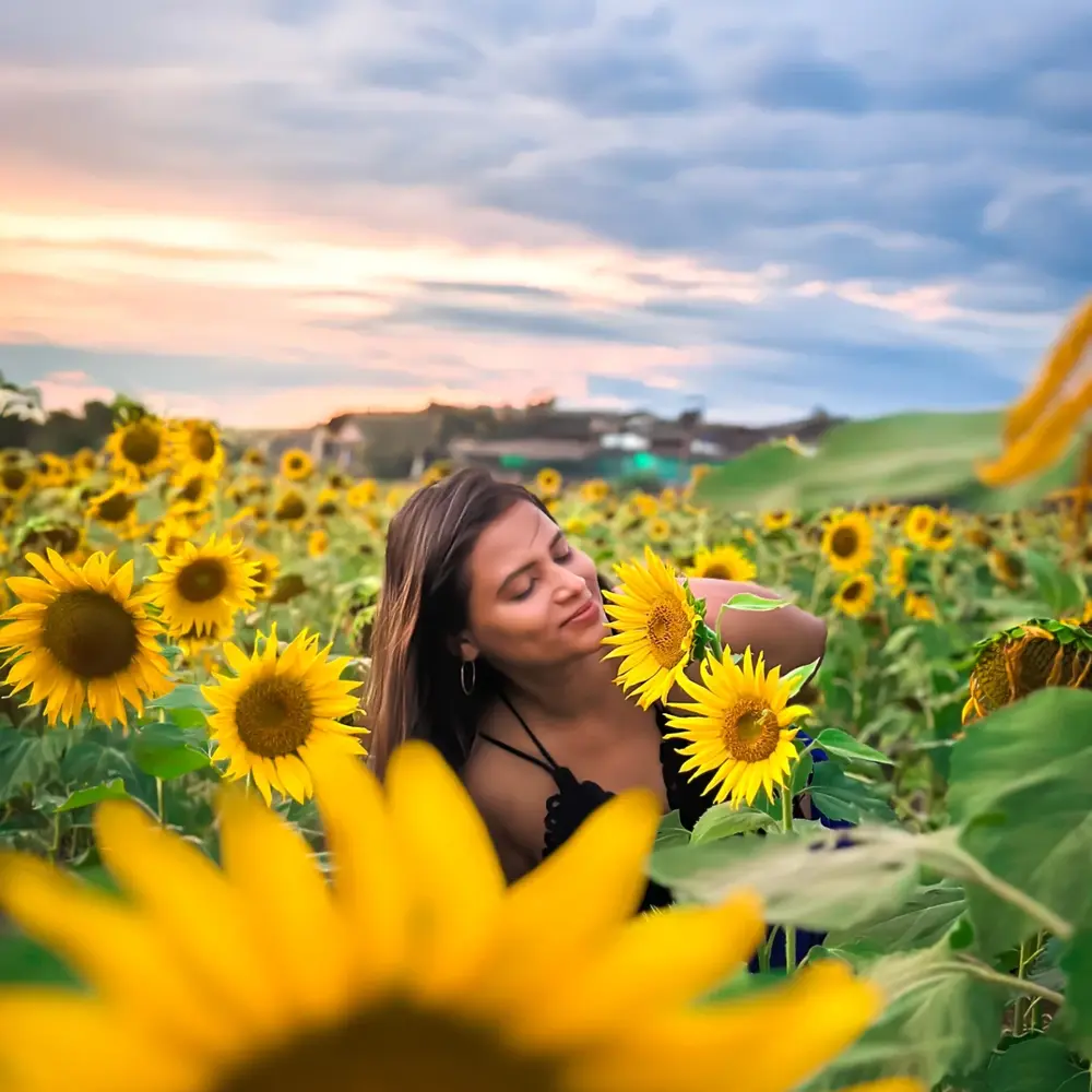 Woman admiring sunflowers at sunset.