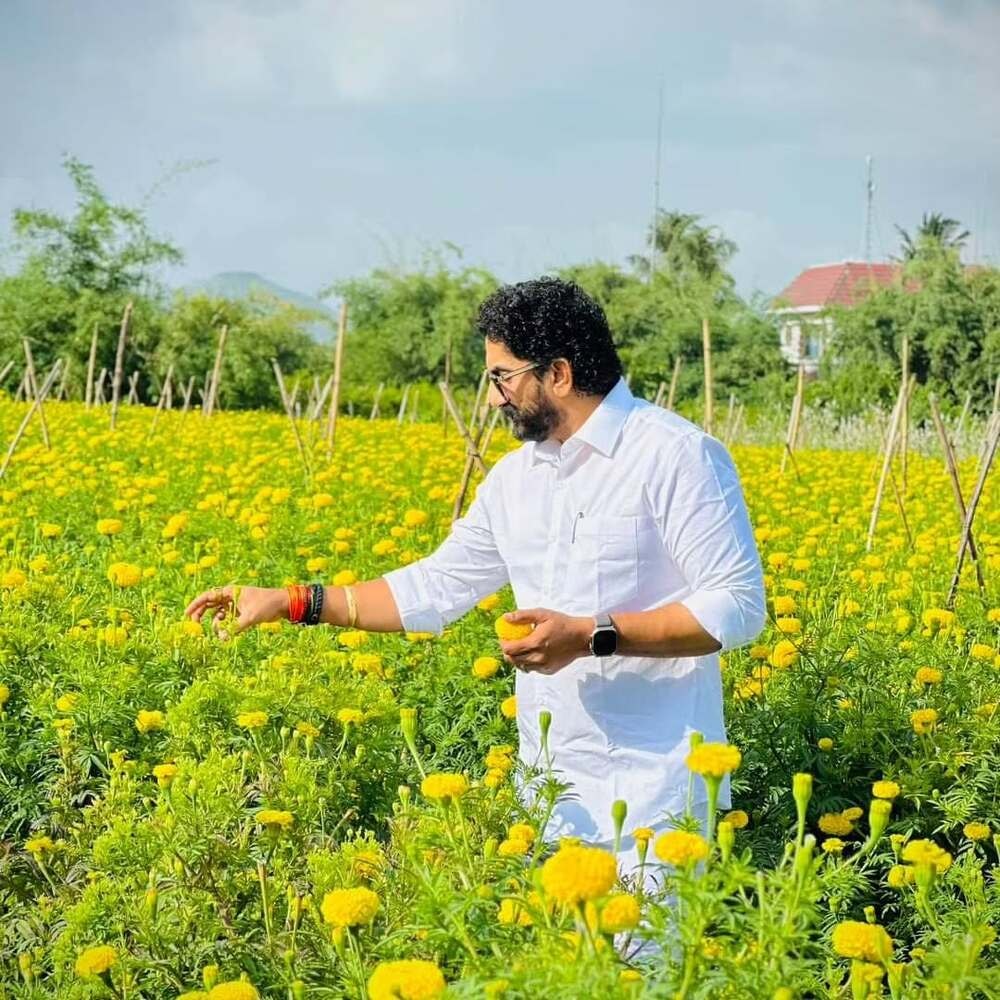 Man in white shirt picking marigold flowers in a field  