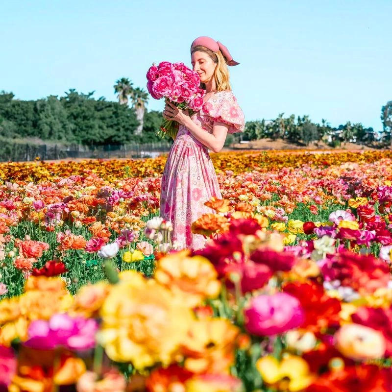 Carlsbad Flower Fields