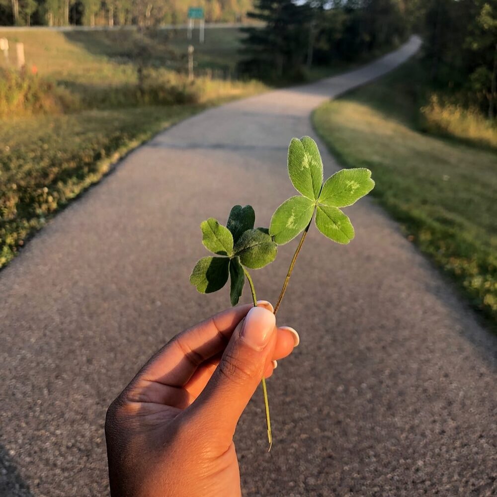 A hand holds two four-leaf clovers against a scenic pathway backdrop