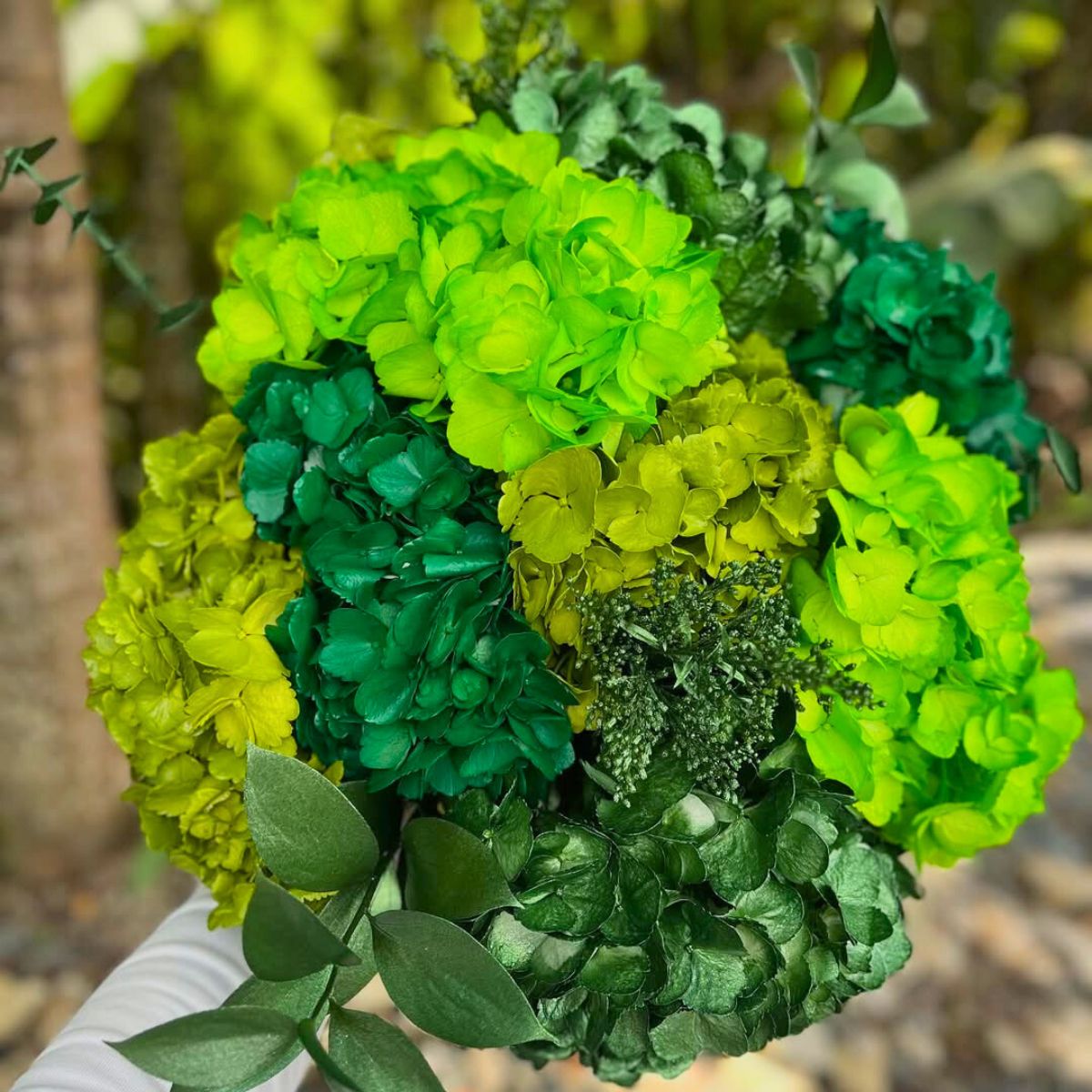 Tinted green hydrangeas for Saint Patricks