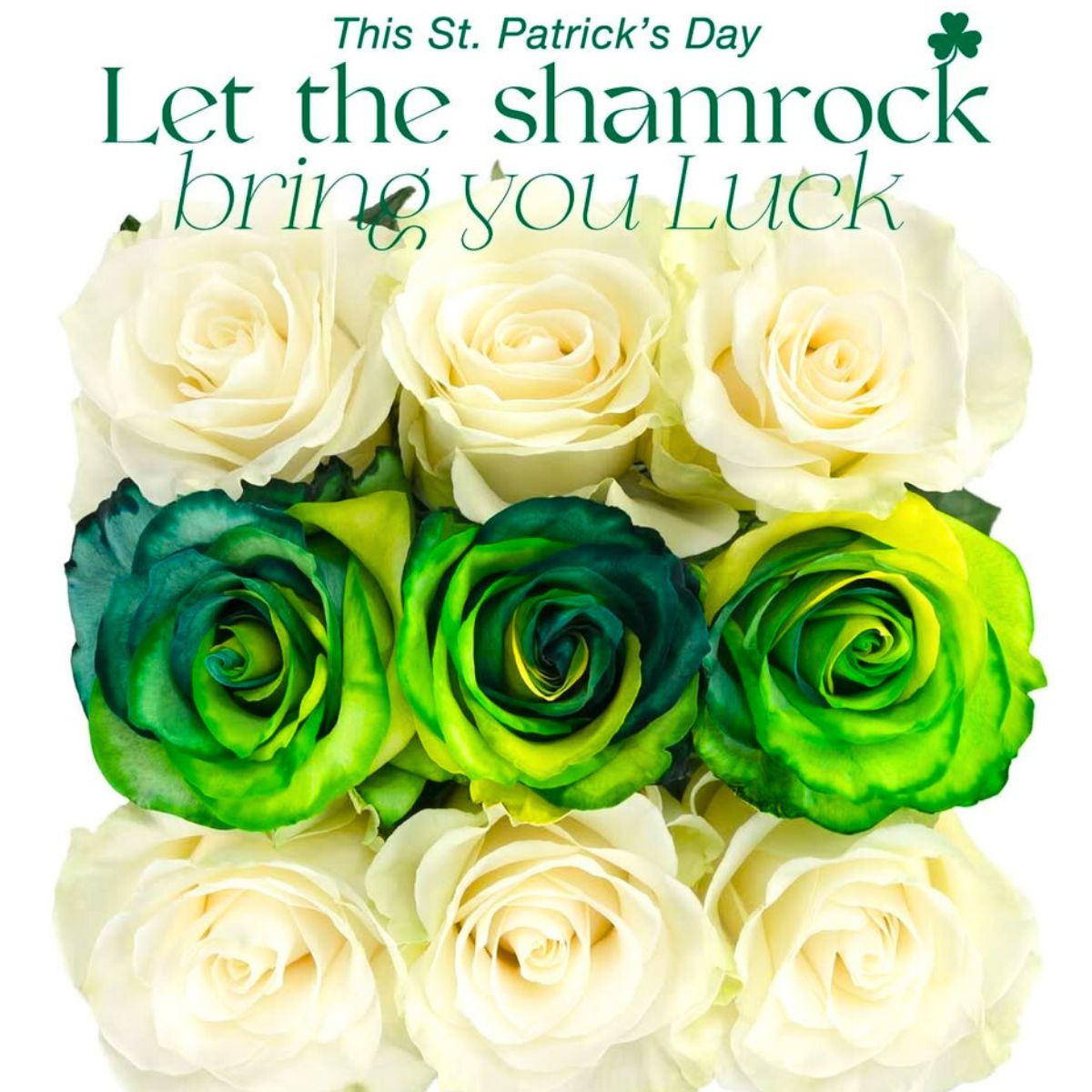 Shamrock luck with tinted roses by Mystic