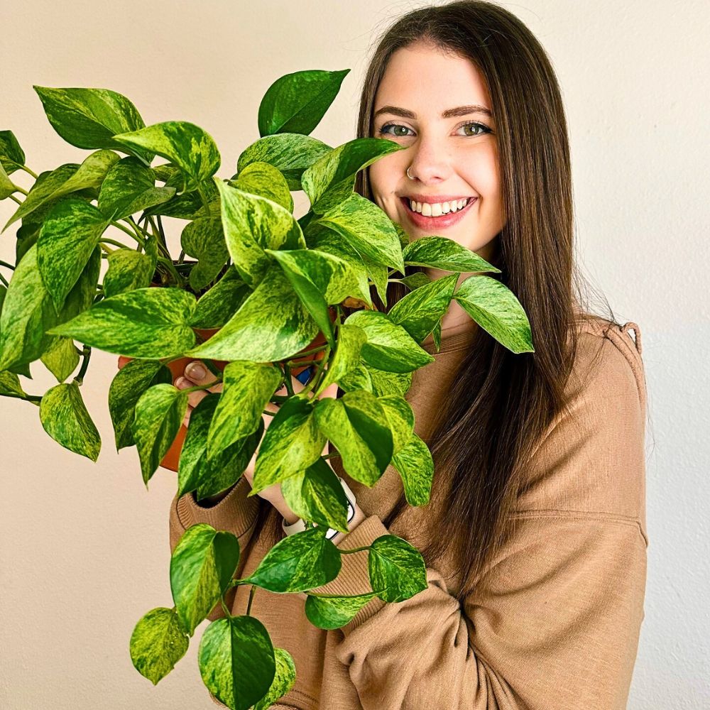 These Popular Types of Houseplants Are Hot on Instagram Right Now