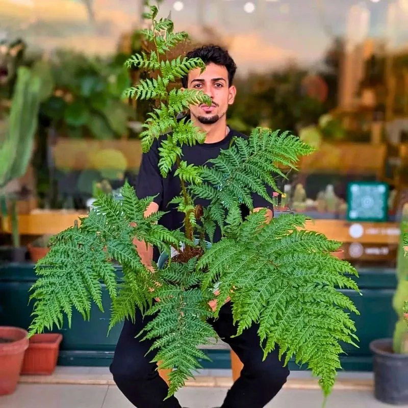 These Popular Types of Houseplants Are Hot on Instagram Right Now