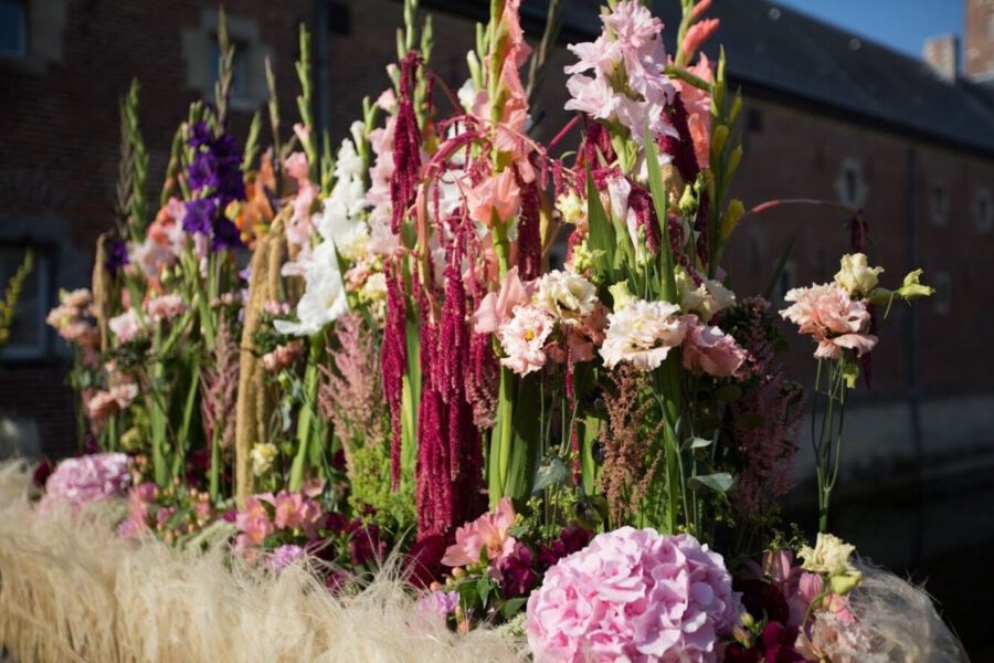 Flowers and their Characteristics For Mom - Gladiolus - Regine Motmans - on Thursd