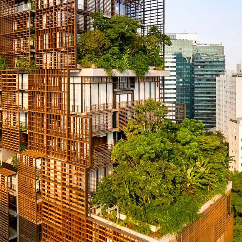 Vegetation in towers of Sao Paulo